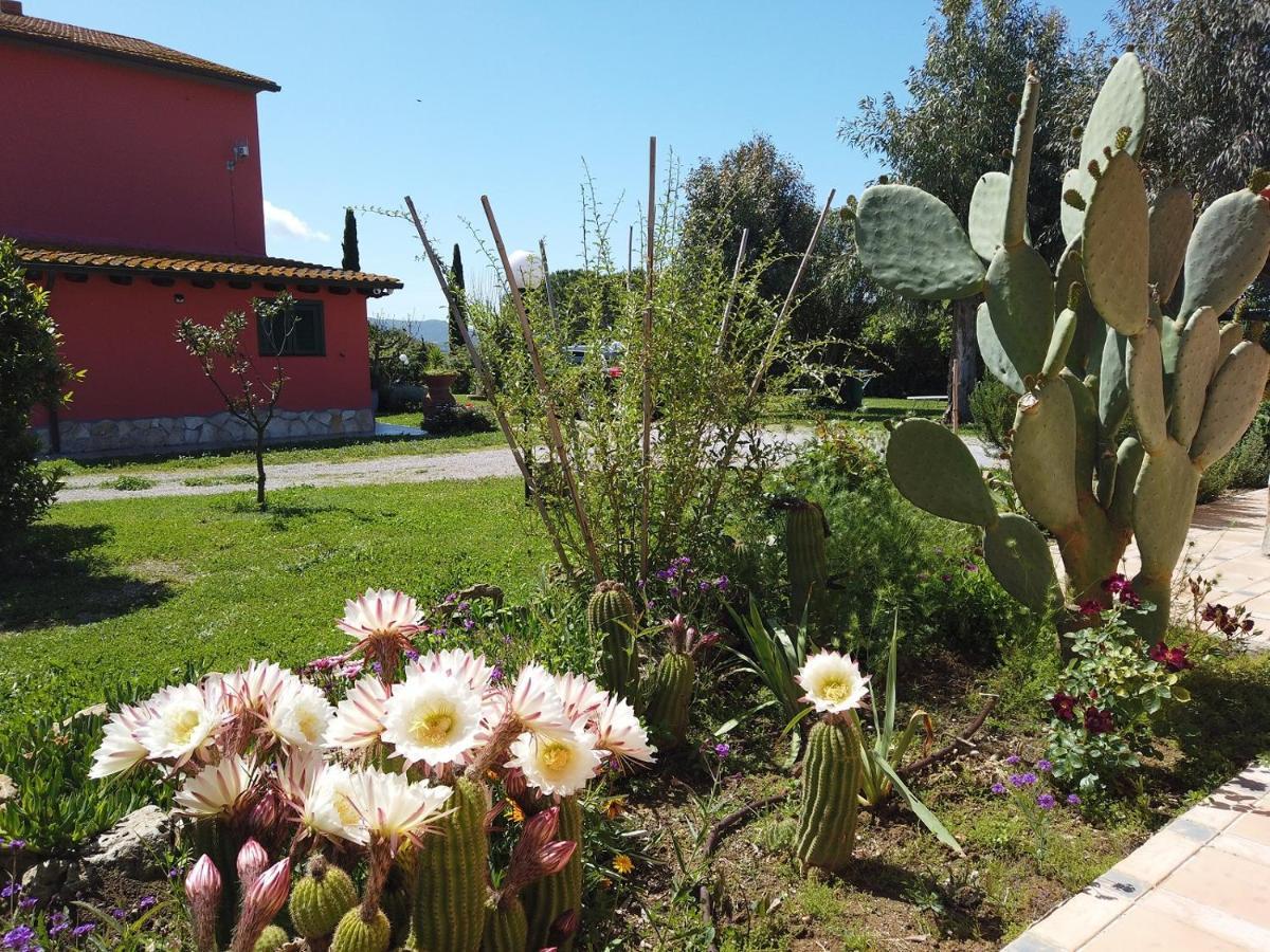 Locanda Le Mandriane Albinia Εξωτερικό φωτογραφία